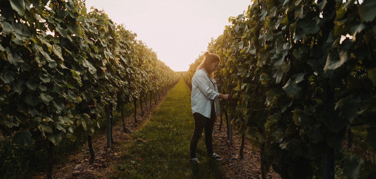 Weingut Krughof_Weinberg mit Marie, © Weingut Krughof