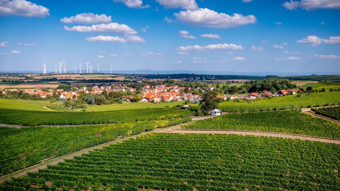 Dittelsheimer Geiersberg