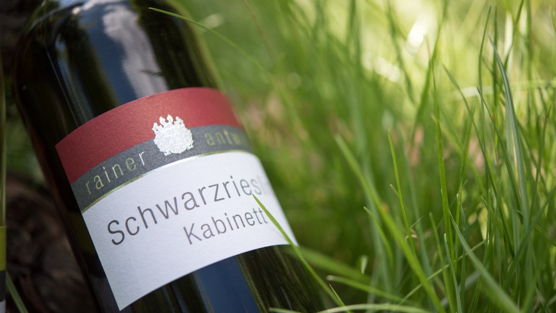 wijnmakerij-antweiler7, © Weingut Antweiler