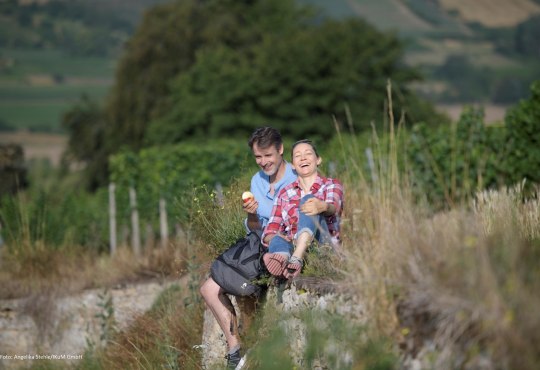 Weinwandern in Ingelheim, © Angelika Stehle/IKuM GmbH