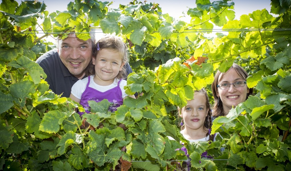 05102014_weingut-best-2219-1024x683, © Weingut Helmut Best