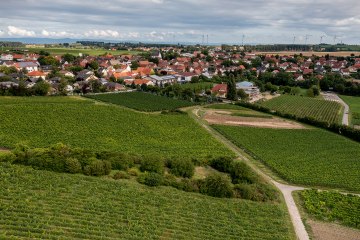 Weinolsheimer Kehr