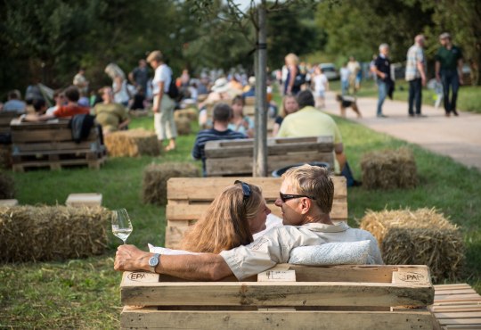 BurgbergUnderVibes, © Martin Kämpfer/Rheinhessenwein e.V.