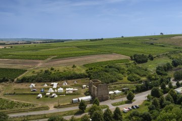 Eckelsheimer Eseltreiber, © Torsten Silz