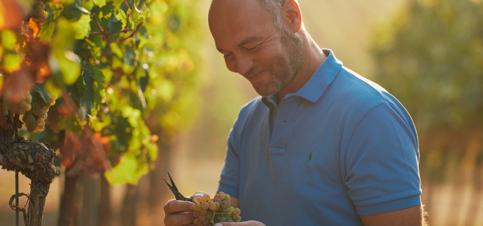 Weingut Dr. Koehler_Christian Dreißigacker, © Weingut Dr. Koehler