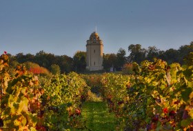 Bismarcktoren met uitzicht vanaf de wijngaarden