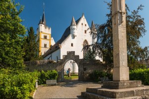 Rheinhessen-2016-E-Bike-120