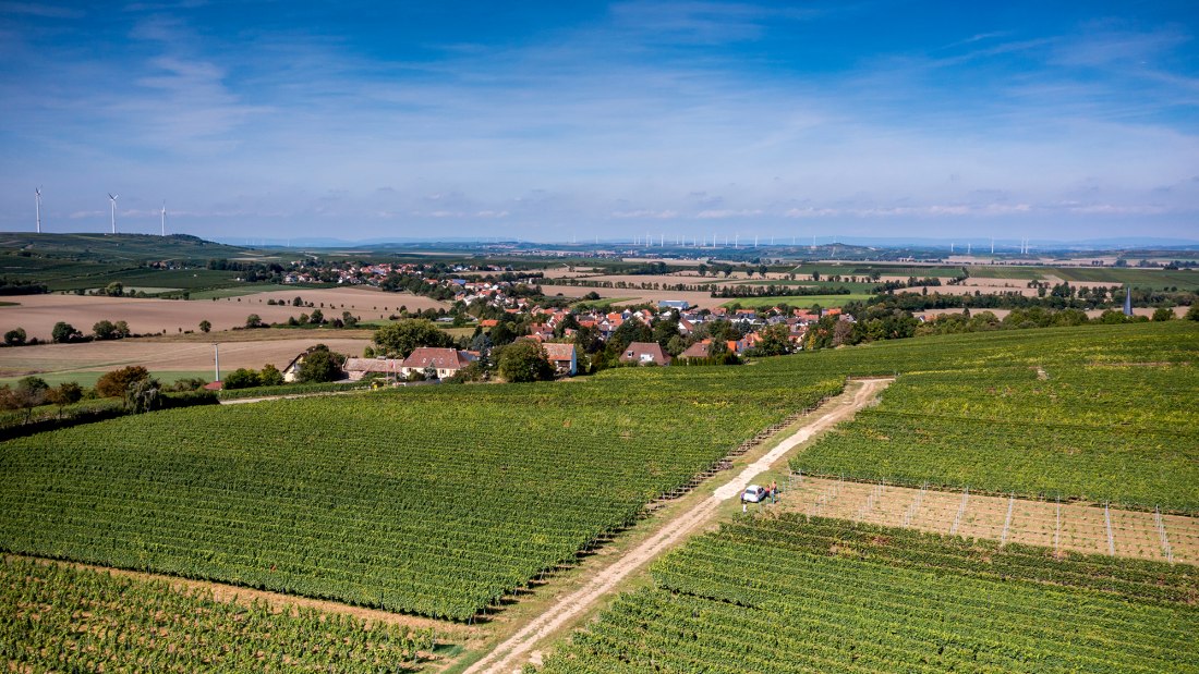 Heßlocher Liebfrauenberg