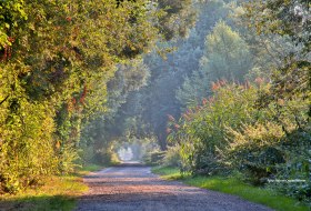 Rheinauen on the Ingelheimer Rheinufer © Rainer Oppenheimer