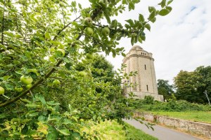 Bismarckturm Ingelheim, © Dominik Ketz