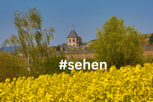 Selztaldom mit Rapsblüten, © Rainer Oppenheimer/Stadt Ingelheim