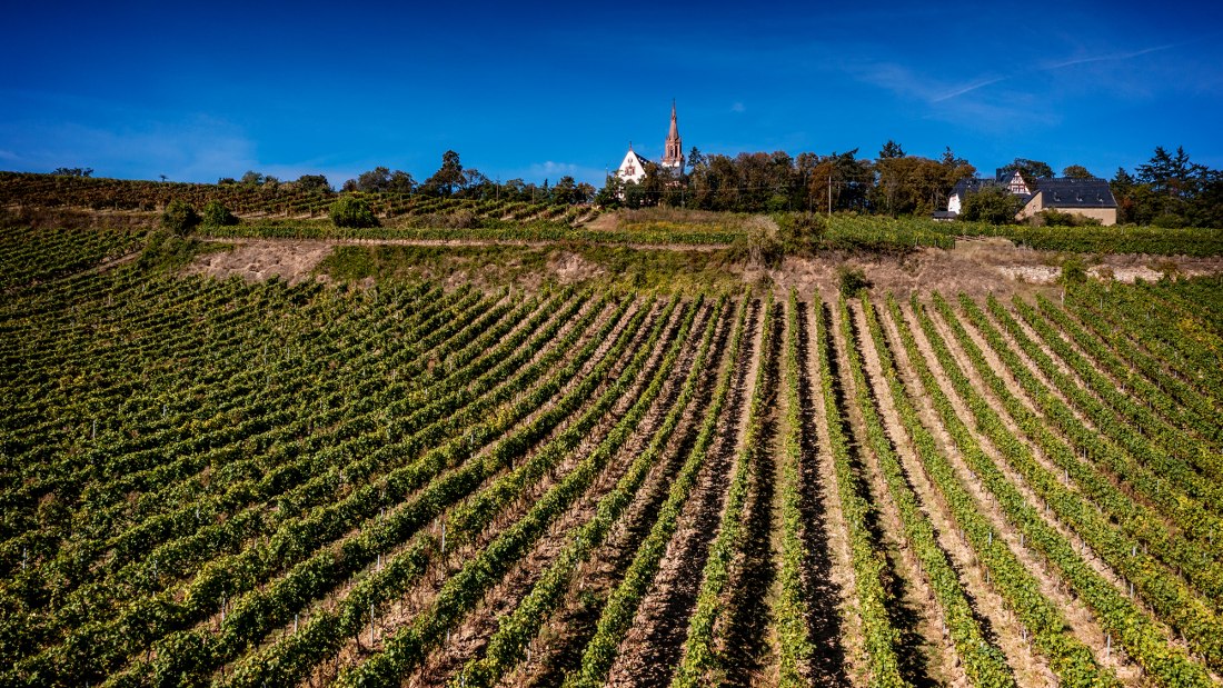 Binger Kirchberg mit Sankt Ruperts Kloster