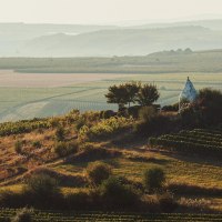 Flonheimer Trullo © Peter Bender