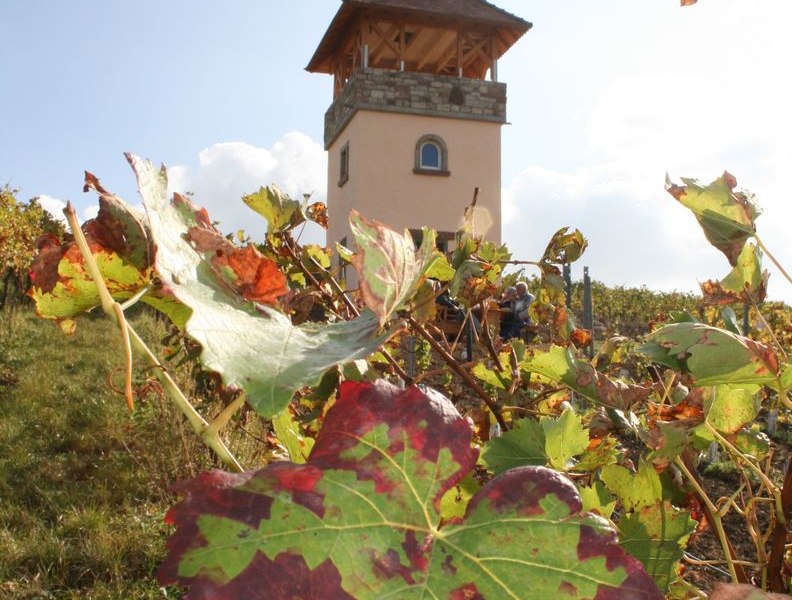 Turm_Herbst