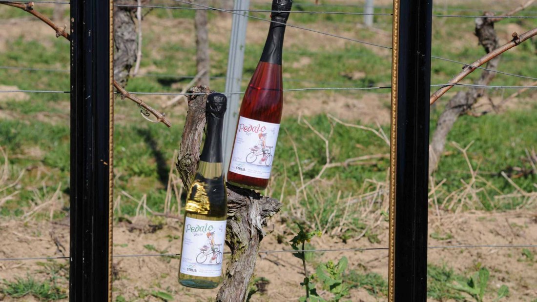 winery_heiko_strub_pedalo, © Weingut Heiko Strub