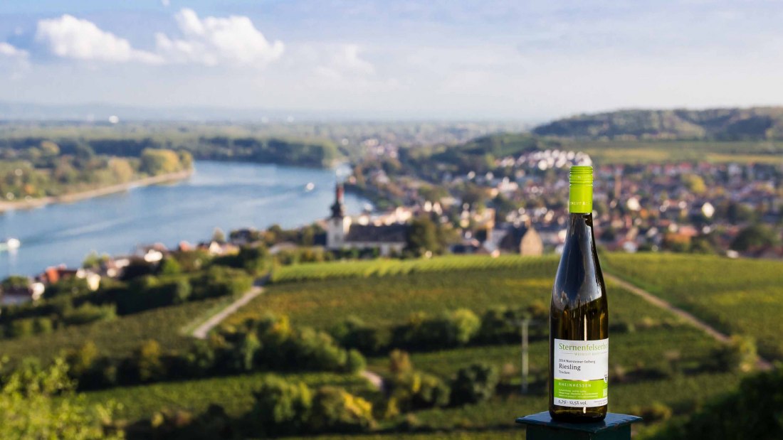 Weingut Sternenfelserhof_Blick-auf-den-roten-hang, © Weingut Sternenfelserhof