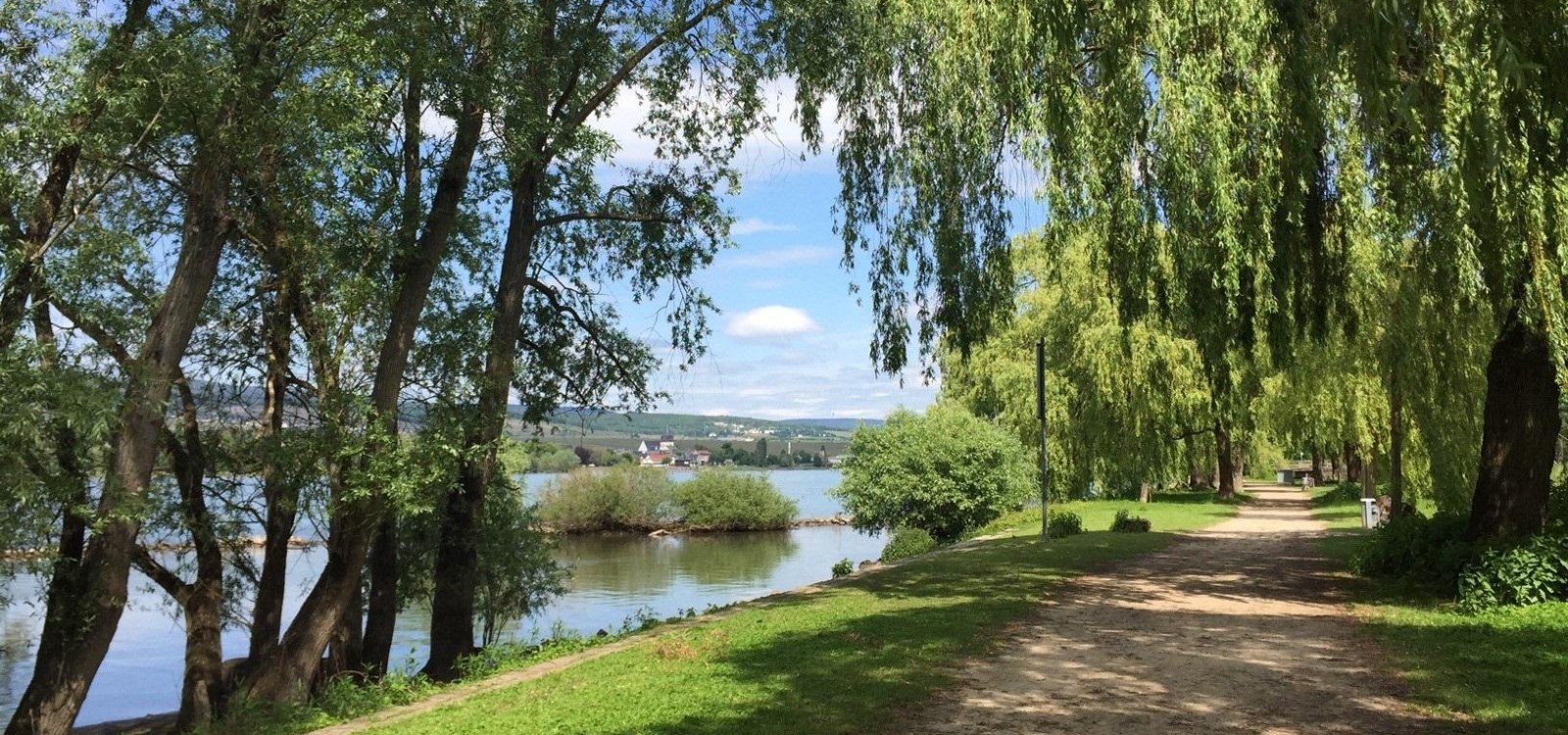 Rheinauen in Ingelheim, © Petra Julius/Stadt Ingelheim