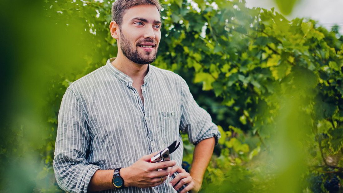 Weingut Gebert_Kellermeister Paul Krahl im Weinberg, © Weingut Gebert