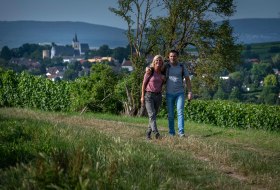 Hiking trail on the Mainz mountain © Heike Rost