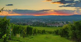 Ingelheimer Fernsicht © Rainer Oppenheimer/Stadt Ingelheim