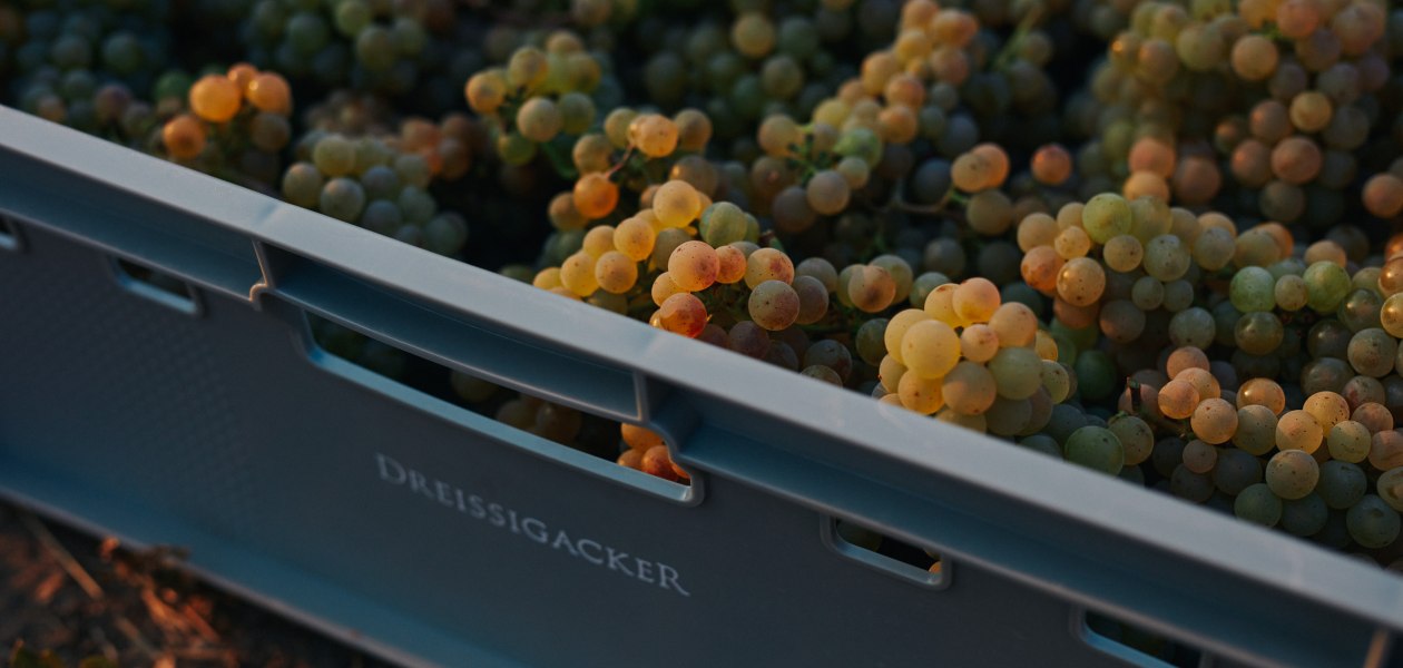 © Weingut Dreissigacker