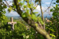 Weingut Schmitz_Ausblick, © Weingut Schmitz