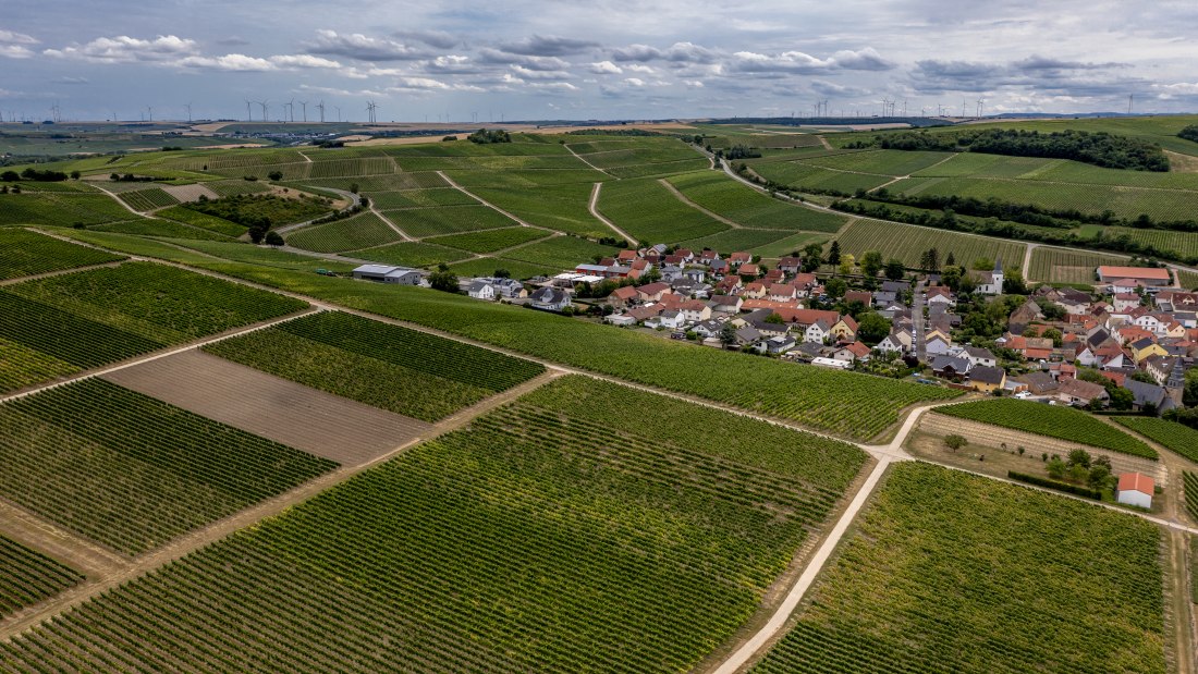 Lonsheimer Mandelberg