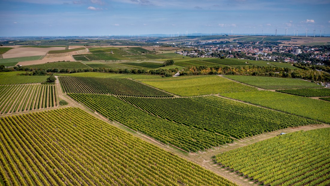 Alzeyer Rotenfels