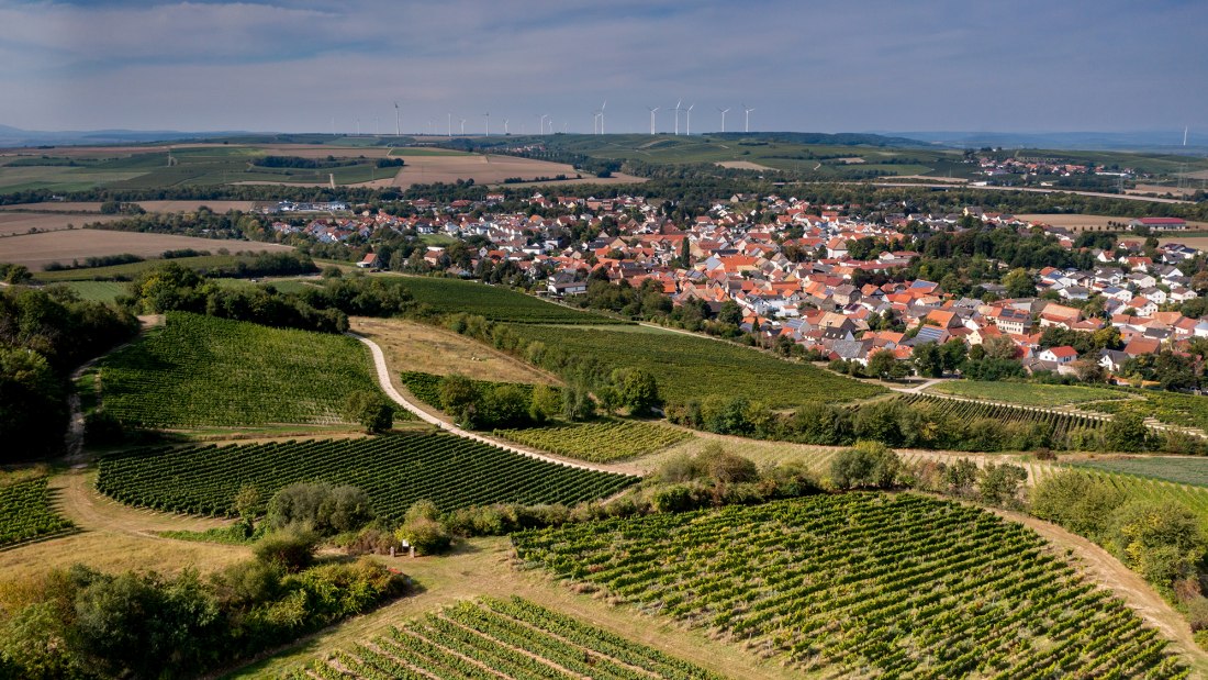 Albiger Schloss Hammerstein