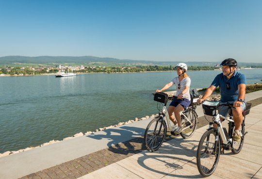 The Rhine Cycle Path in Rheinhessen, © Dominik Ketz