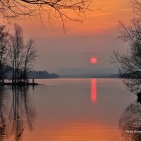 Rheinauen bei Ingelheim 2