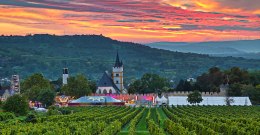 Blick auf das Rotweinfest-Gelände aus den Weinbergen beim Sonnenuntergang. Man sieht das Festgelände rund um die Burgkirche, im Hintergrund den Westerberg mit dem Bismarckturm und das Rheintal. © Rainer Oppenheimer/IKuM GmbH