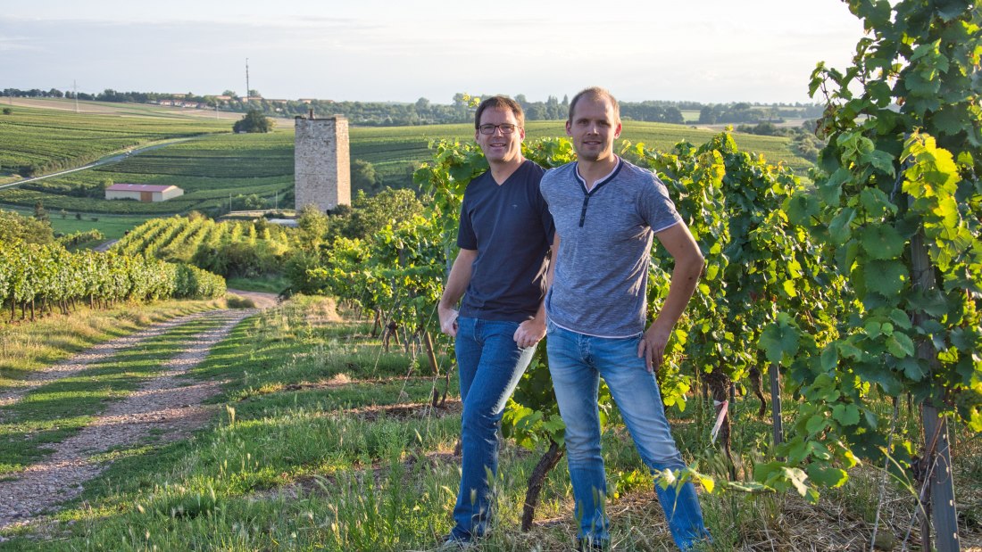 Weingut Georg Gustav Huff_Winzer im Weinberg, © Weingut Georg Gustav Huff