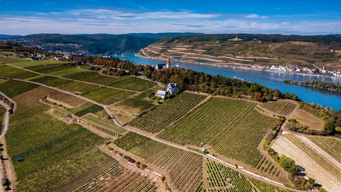 Binger Kirchberg with St. Rupert's monastery