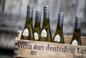 Selection Rheinhessen