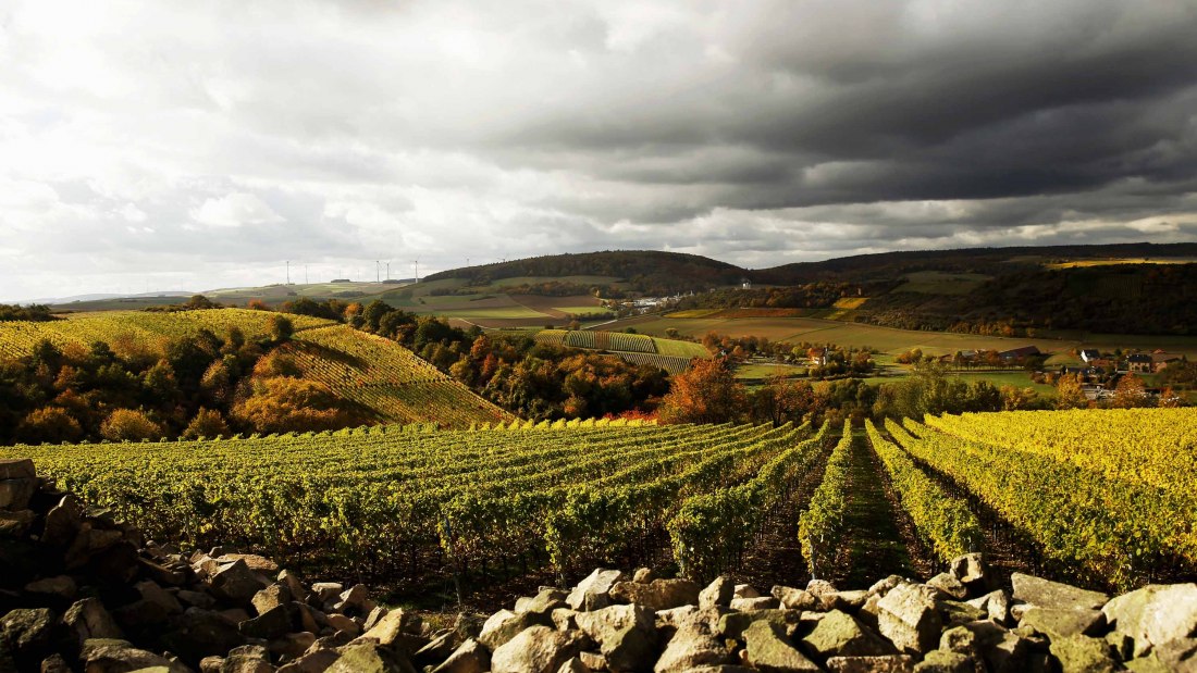 nieuw-bamberg-heerkretzi, © Weingut Steitz