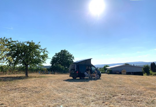 Vanaf de camperplaats kunt u genieten van een prachtig panoramisch uitzicht op de wijnstreek Rheingau aan de andere kant van de Rijn. De zonsondergangen zijn een genot., © Wijnmakerij Mett &amp; Weidenbach