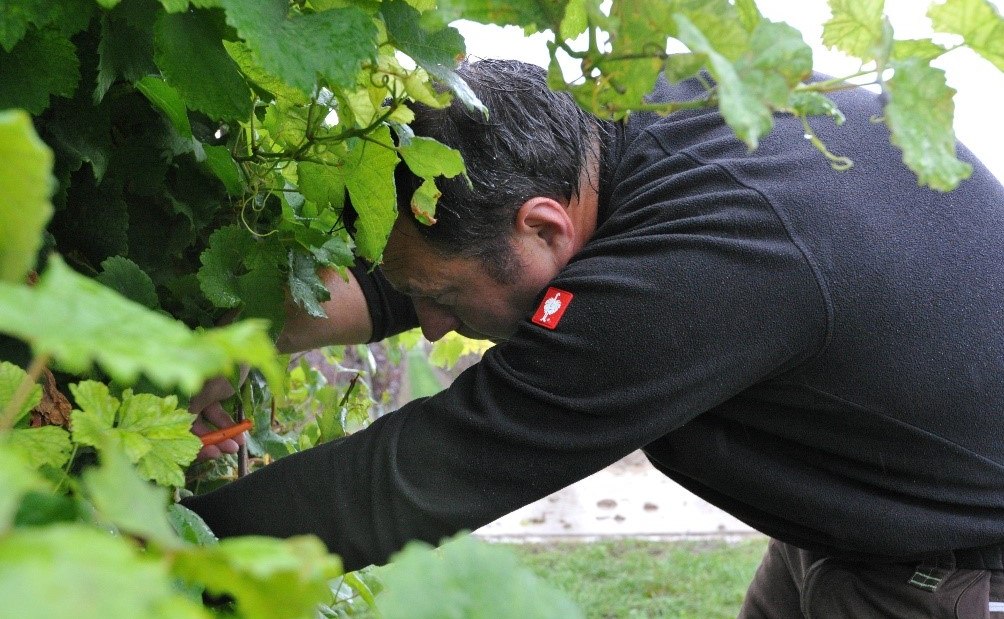 Weingut Bacchushof_Dirk Berges, © Weingut Bacchushof