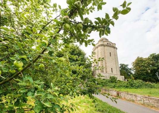 Bismarckturm Ingelheim © Dominik Ketz