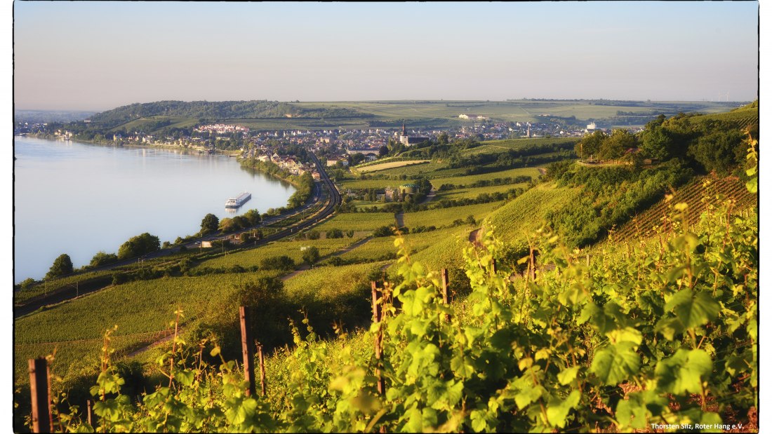 pano-hipping-250x150-02_1, © Weingut Wedekind