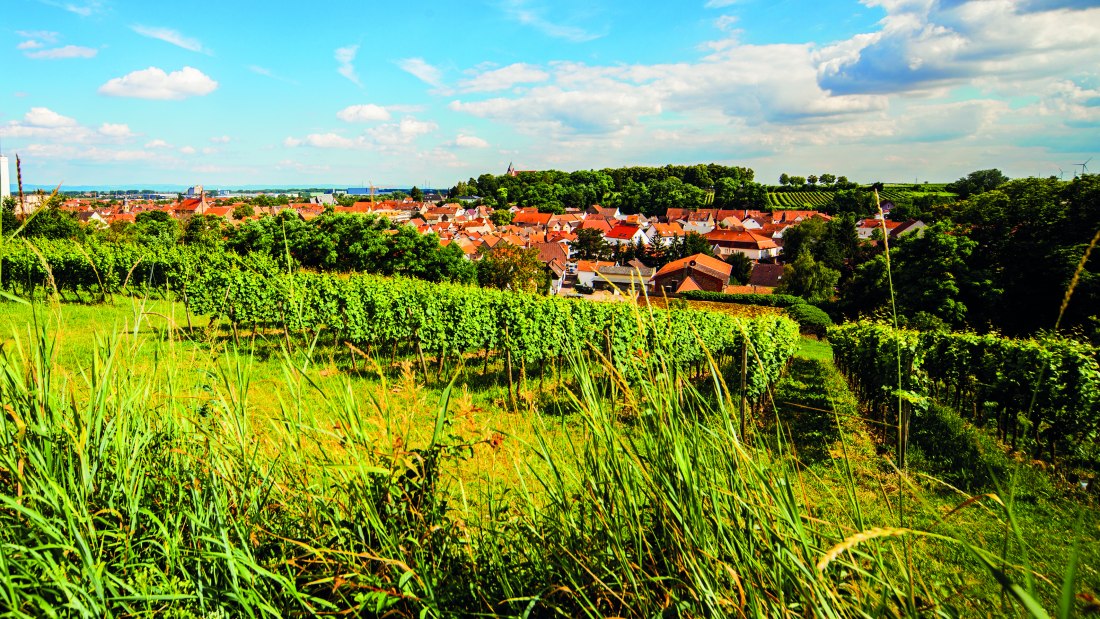 Weingut Steinmühle_Ort, © Weingut Steinmühle