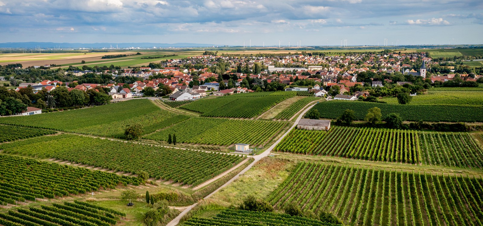 Westhofener Steingrube