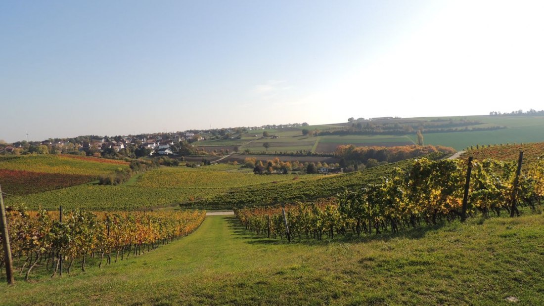 Weingut Seck_Dolgesheim, © Weingut Seck