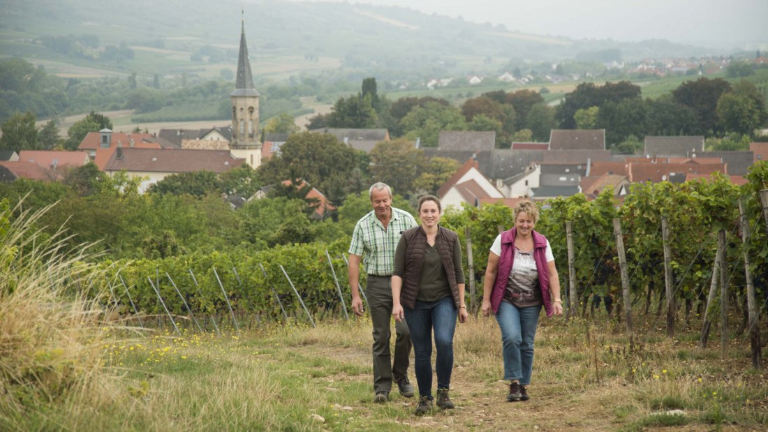 schuck-1, © Weingut Schuck Sonnenhof