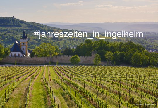 #jahreszeiten_in_ingelheim, © Rainer Oppenheimer/Stadt Ingelheim