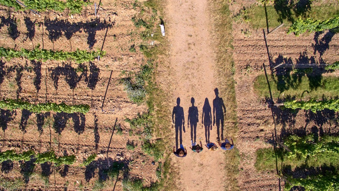 20180702_p3_0073_2000px, © Weingut Laubenstein