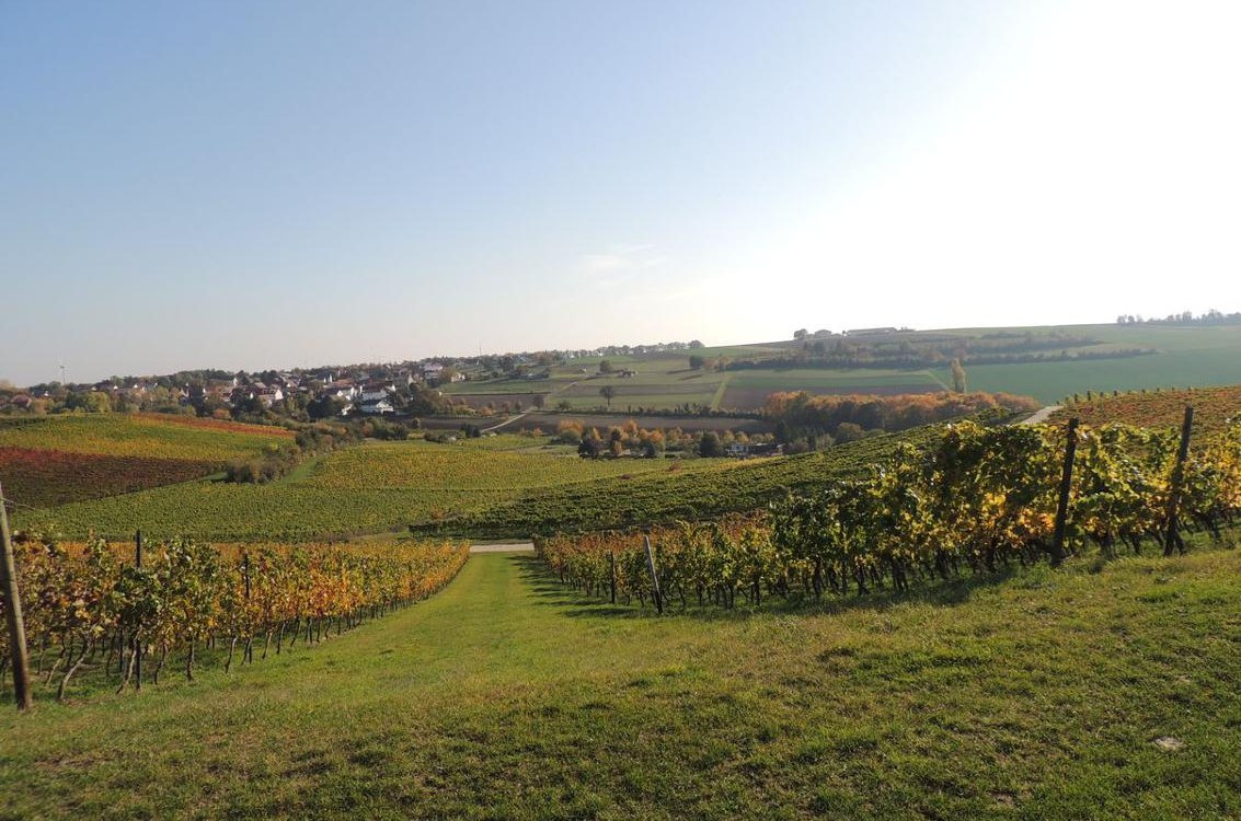 Dolgesheim_i, © Weingut Seck