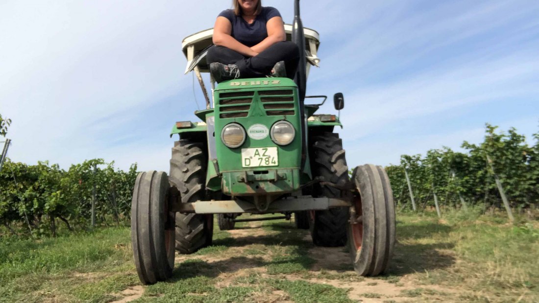 winery-bender-diana_2, © Weingut Bender