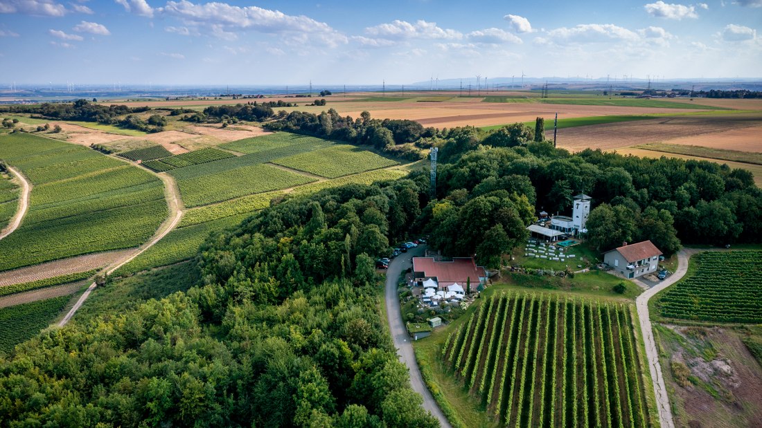 Dittelsheimer Kloppberg