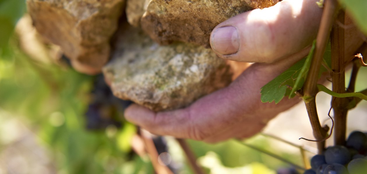 Michel-Pfannebecker, © Weingut Michel-Pfannebecker